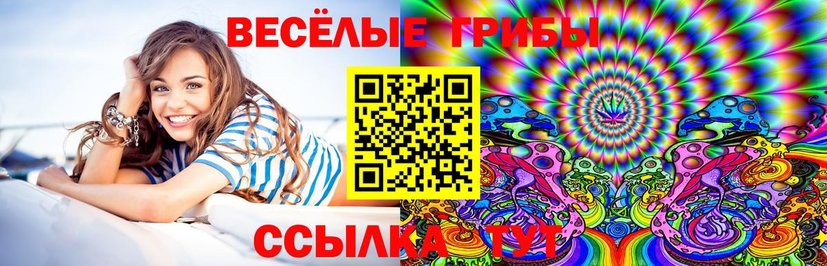Грязи  Галлюциногенные грибы Psilocybine cubensis  Вход с VPN 